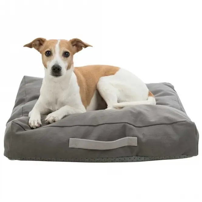 Trixie Be Eco Kissen Danilo - 100 x 70 cm